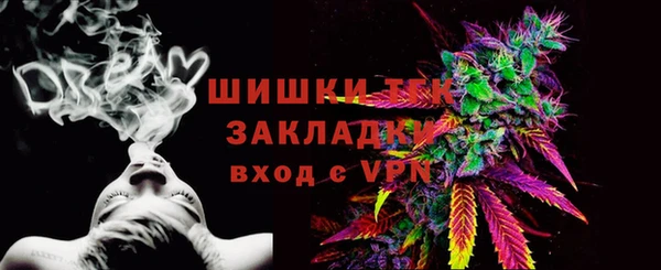 стафф Касимов