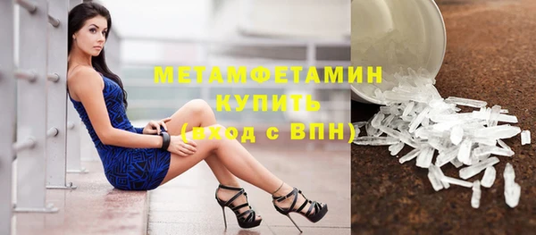 стафф Касимов