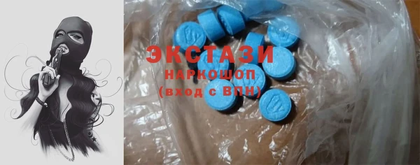 сатива Туринск