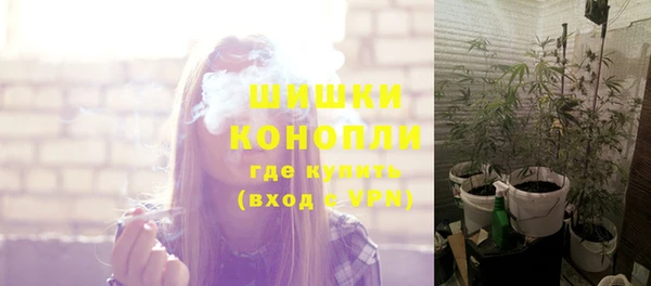 сатива Туринск