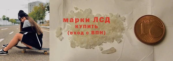 стафф Касимов