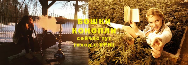 стафф Касимов