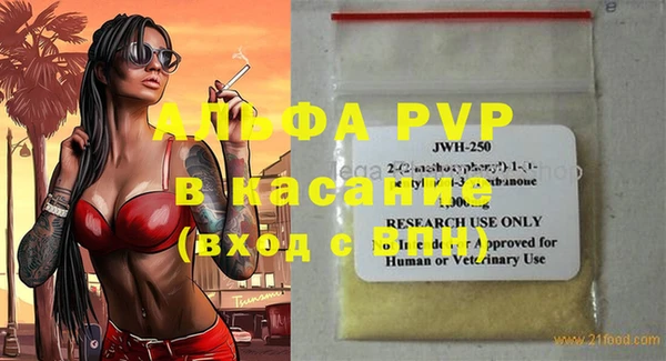 стафф Касимов