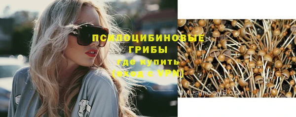 стафф Касимов