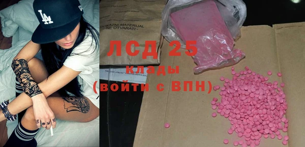 стафф Касимов