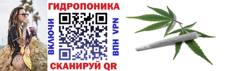 Купить где  Ермолино  Каннабис план 